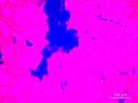 Verschieden gerichtete rote Phasern mit blauen Punkten