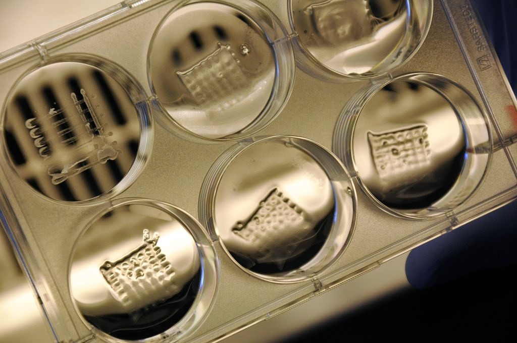 Biofabrikation & Hydrogels