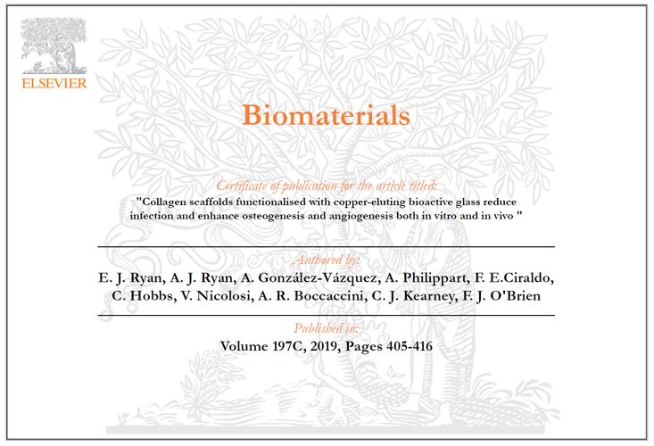 Zum Artikel "Unser Artikel in Zusammenarbeit mit RCSI-Forschern (Royal College of Surgeons in Irland) wurde in Biomaterials veröffentlicht"