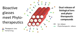 Bioaktive Gläser treffen Phytotherapeutica - Deckblatt des Papers.