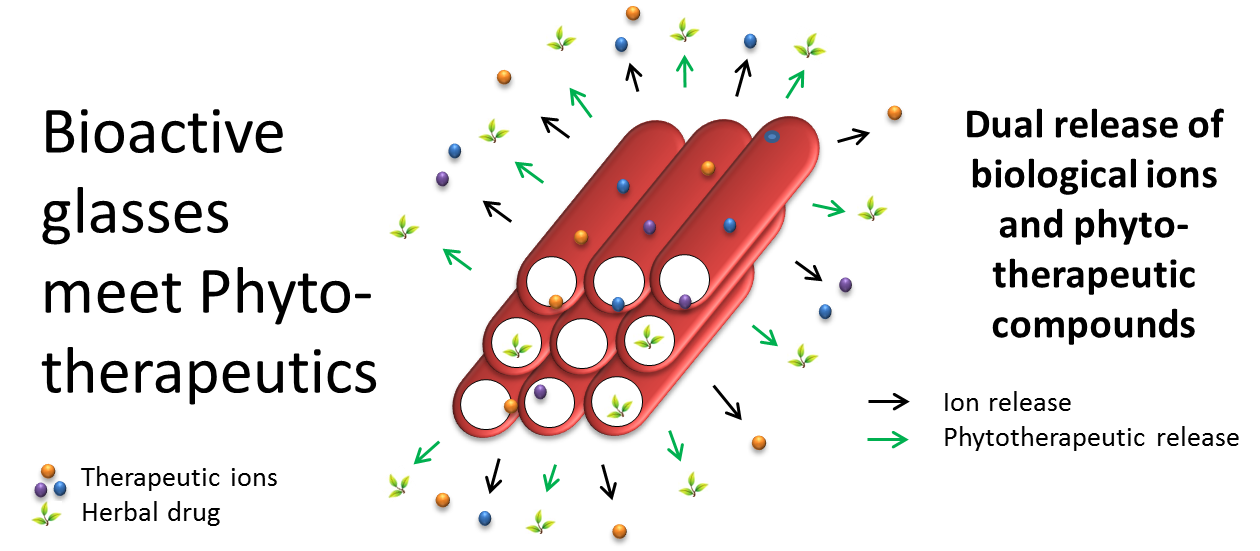 Zum Artikel "Biomaterialien treffen auf Pflanzenheilkunde: Unser review paper veröffentlicht in Biomaterials"