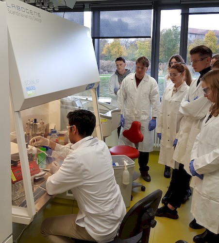 Während der Experimente