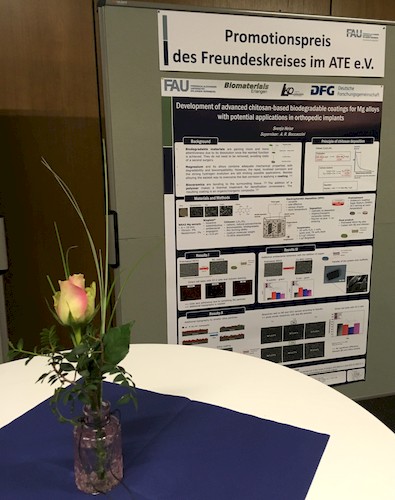 Poster über Promotionsthema von Svenja Heise.