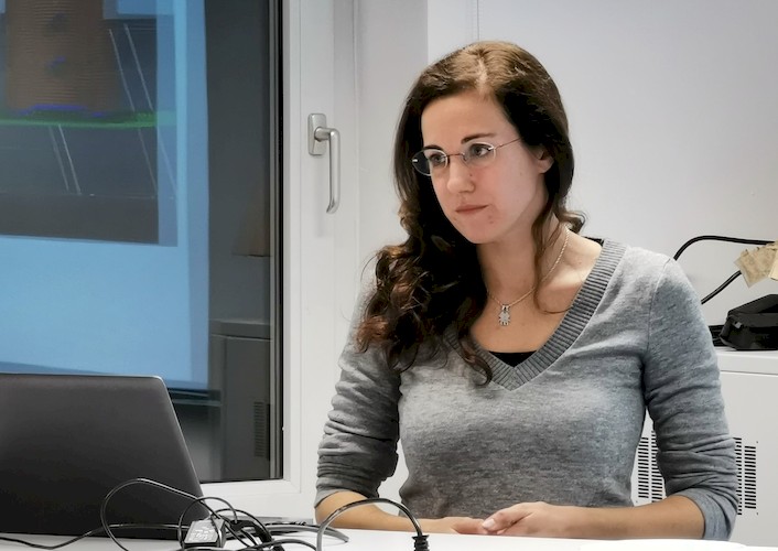 Dr. Araoz beim Vortrag