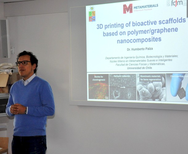 Prof. Palza beim Vortrag