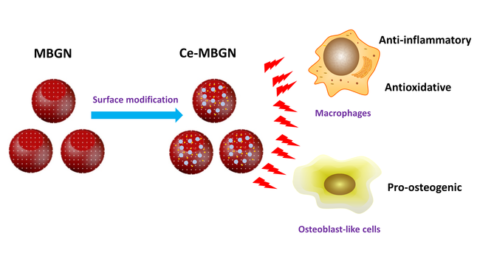 Zum Artikel "Unser Artikel über multifunktionale mesoporöse Glasnanopartikel in Materials Today Bio veröffentlicht"