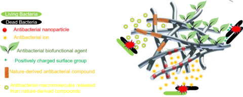 Graphical abstract, des papers.