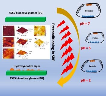 Zum Artikel "Unser Artikel über die Wechselwirkungen von bioaktivem Glas und Proteinen in Advanced Materials Interfaces veröffentlicht"