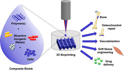 Zum Artikel "Unsere Übersichtsarbeit über „composite bioinks for bioprinting“, veröffentlicht in Acta Biomaterialia"