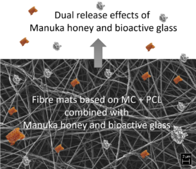 Wundauflagen aus elektrogesponnenen Fasern mit Methylcellulose, Manuka Honik und Bioaktiven Gläsern