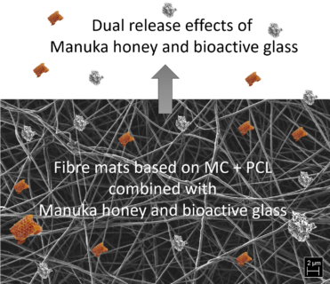 Wundauflagen aus elektrogesponnenen Fasern mit Methylcellulose, Manuka Honik und Bioaktiven Gläsern