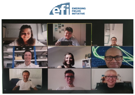 Die Teilnehmer des online EFI Treffens via Zoom.