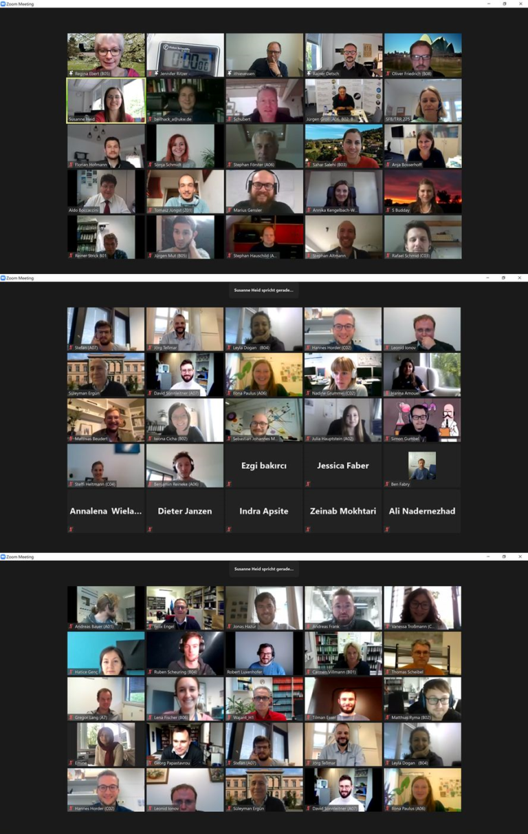 Erfolgreiche (digitale) Klausurtagung des Sonderforschungsbereichs SFB/TRR 225