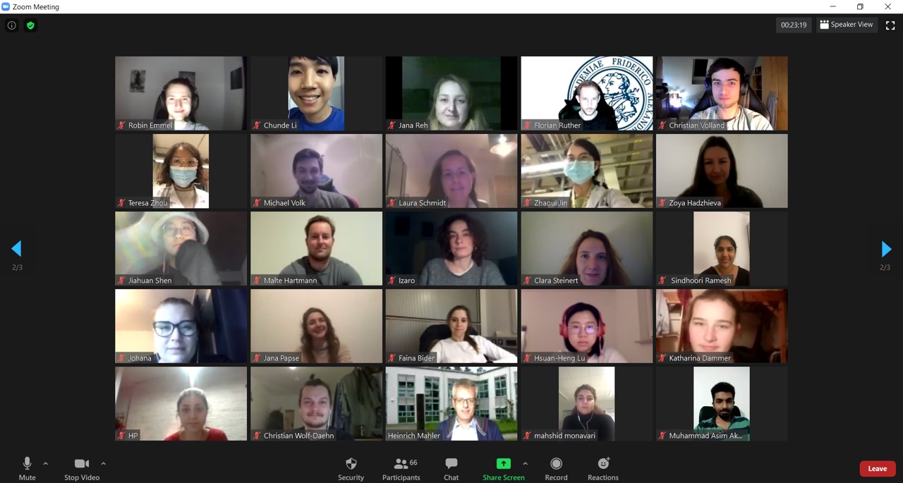 Teilnehmer des online Seminars.