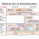 Module BioMat ab WS2020/2021 Teil 2