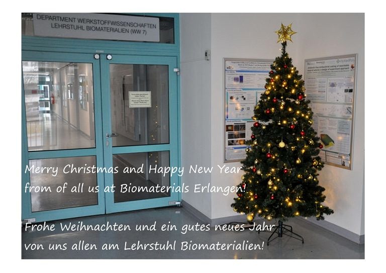 Frohe Weihnachten und ein gesundes neues Jahr!