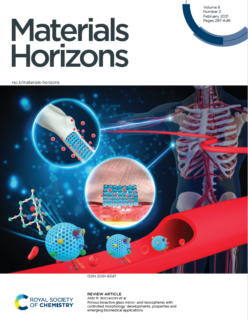 Titelbild der Februarausgabe 2021 von Materials Horizon.