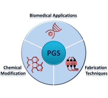 Zum Artikel "Poly(Glycerol Sebacate) (PGS) in biomedizinischen Anwendungen: unser neuer Übersichtsartikel in Adv. Healthcare Materials"