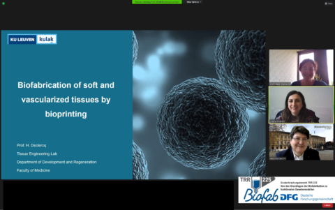 Zum Artikel "Prof. Heidi Declercq (KU Leuven, Belgien) hält Seminar über die Biofabrikation von vaskularisiertem Gewebe"