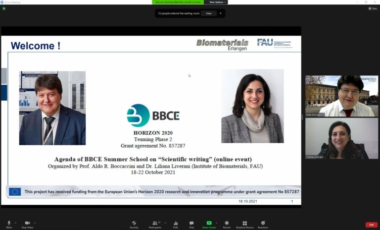 Erfolgreiche Organisation der BBCE Summer School 2021