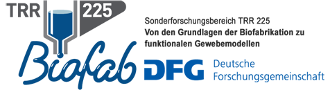 Zum Artikel "Unser Sonderforschungsbereich SFB/TRR 225 „Biofabrikation“ wird von der DFG um weitere 4 Jahre verlängert"