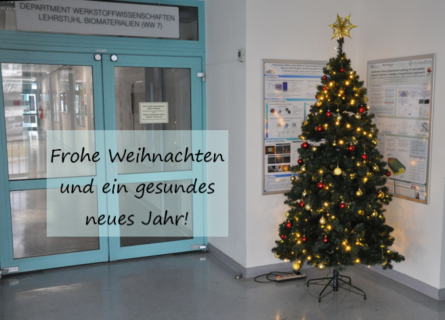 Zum Artikel "Frohe Weihnachten und ein gesundes neues Jahr!"