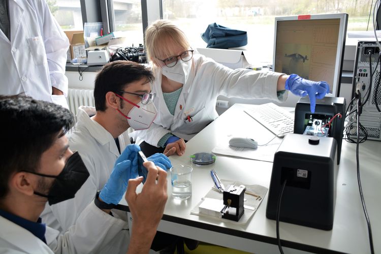 Repräsentatives Experiment am Microtester