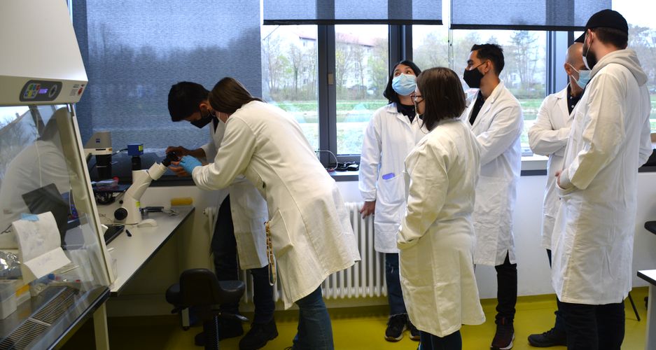 Demonstration von Lichtmikroskopie im Labor