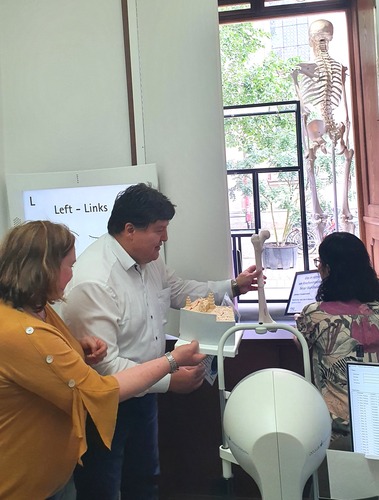 International Year of Glas - contribution of biomaterials