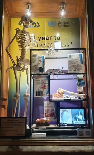 International Year of Glas - contribution of biomaterials