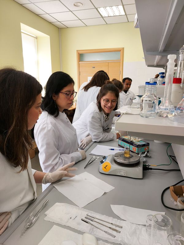 Schulung von Doktorand*innen für Doktorand*innen im Rahmen des BBCE