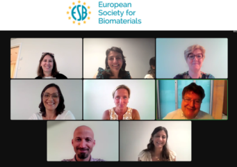 Zoom-Screenshot der ESB Ratssitzung im Juni 2022