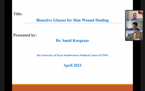 Screenshot der Präsentation von Dr. Saeid Kargozar