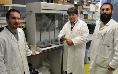 Bild von Prof. Boccaccini, Prof. Simsir und dem Doktoranden Ertugrul Varlik im Labor des Lehrstuhls für Biomaterialien