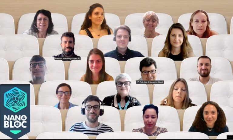 Fortschrittstreffen (M30) des EU-Projekts (Horizon Europe) Nanobloc(R) fand online am 1. Juli 2025 statt