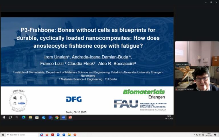 Fortschrittsbesprechung der Forschungsgruppe FOR 5657 „BioAntiFatigue” an der TU Berlin