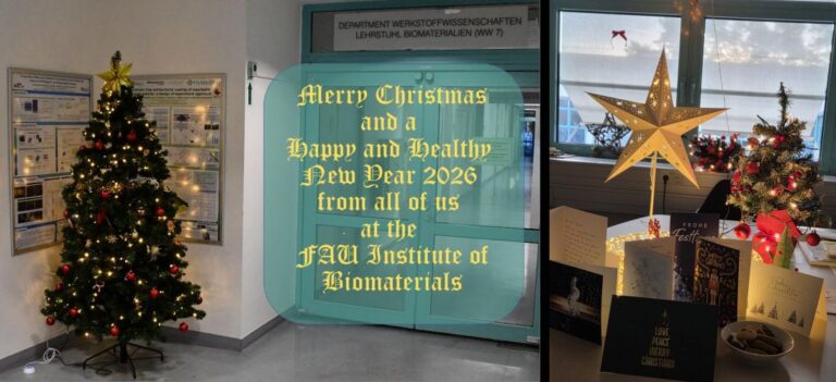 Frohe Weihnachten und ein gutes neues Jahr!