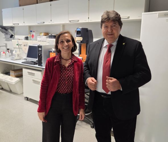 Prof. Boccaccini nahm an der ersten Sitzung des Wissenschaftlichen Beirats des Zentrums für Forschung in Multiskalenwissenschaften und -technik an der Polytechnischen Universität Katalonien teil